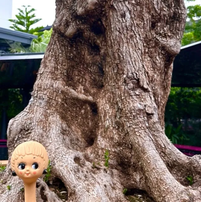 うちのツィッギーちゃん、大阪万博の旅に連れて行ってくれました...