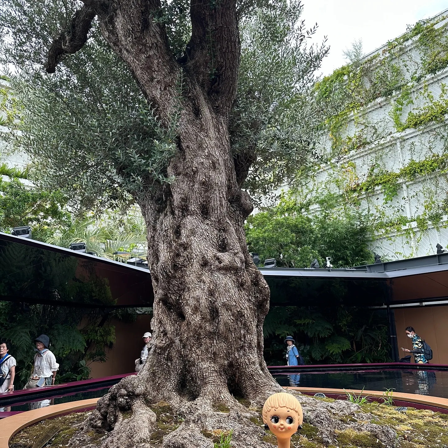 うちのツィッギーちゃん、大阪万博の旅に連れて行ってくれました...